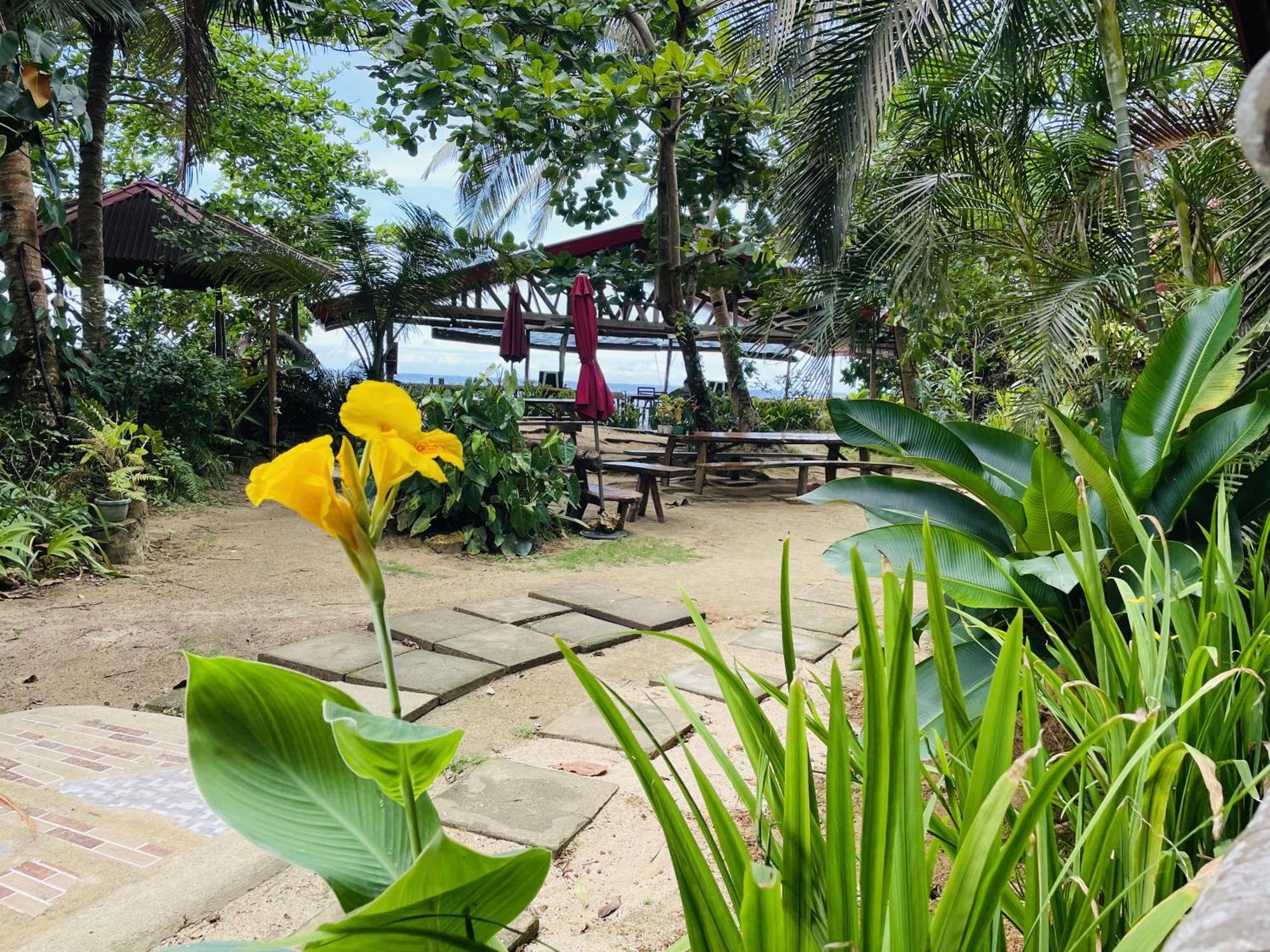 White Beach Front And Cottages Buruanga Bagian luar foto